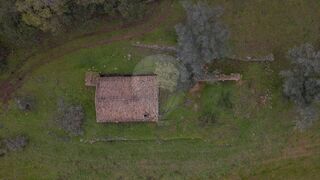 -2122741005467_575da017-4d7b-43f3-a671-6e0ef0bfb296.jpg