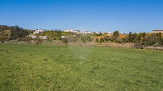 -2122741005467_d33c4c5a-8b84-4289-a32e-bc26ab0eff38.jpg