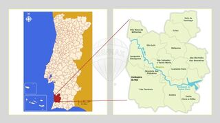 -2122741054052_6ffc2548-99c3-4c32-9c5f-25e1b7c50e39.jpg