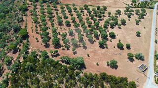 -2122741054075_a4314ff6-acf8-460a-ba57-56784dbf0f59.jpg