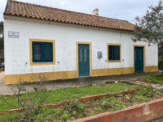 -2122741071047_038ce3d7-ab08-4ca1-8d74-8a40da99e570.jpg