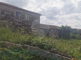 -2123001029214_25aad52c-94bb-4034-acd4-9d48fbefad8c.jpg