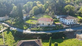 -2123001035542_1a791882-47b3-4cb2-9e09-e069d610ea41.jpg