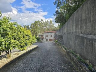 -2123001152051_eb1628d3-7a11-4c3a-8d95-38c599d8bacf.jpg