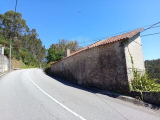-2123001161002_e9e9d558-fe07-46b1-81fe-1517578bcf68.jpg