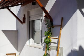 -2123021035049_610ac885-1ff7-4cd1-8fad-4756ce74c9f0.jpg