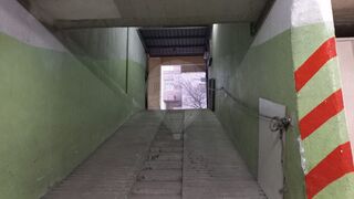 -2123021036031_5950d5e3-b3b5-489b-8b4d-d22ada338ffd.jpg