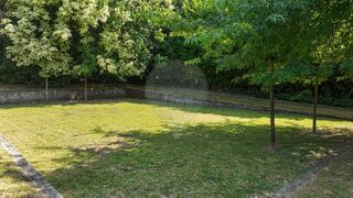 -2123061230251_07dbcdee-02fd-4e9c-94c7-b54bcd2b6721.jpg