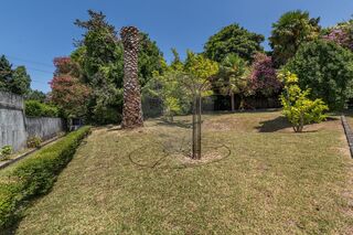 -2123061230251_ff567458-db59-40a0-ac14-c31e7dd9c124.jpg