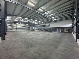 -2123061236197_b9fae28c-bda3-47e2-81b0-43a5e38ce2d4.jpg