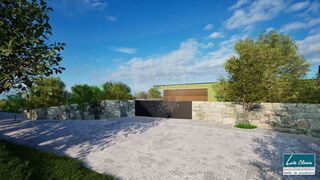 -2123061332054_13eeb951-738d-4634-9080-2abb3d4884cc.jpg