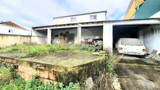 -2123101029543_c7df4e52-73b8-4725-8fd7-8b852cfea920.jpg
