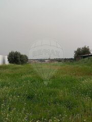 -2123101072001_20e0c87b-7d3f-4e0b-82b3-9cdc95f1e1ff.jpg