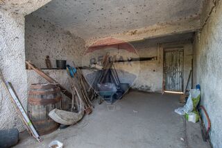 -2123111070062_d7b95c19-12e6-4fff-ab49-ebdd00ab49c1.jpg