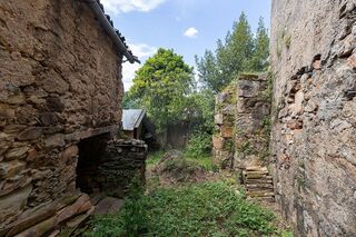 -2123111086017_9f6a4c71-11e5-4803-ab96-563faa2f084c.jpg