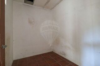-2123111086026_50a1b9bc-fec5-43bc-b359-ff5d8c3f442c.jpg