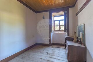 -2123111088060_0d51eba6-8a79-4e73-8ec2-ad54e0d252d9.jpg