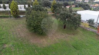 -2123111108008_2b0d8ed5-1be0-4786-8ea0-60ae4fbc7967.jpg