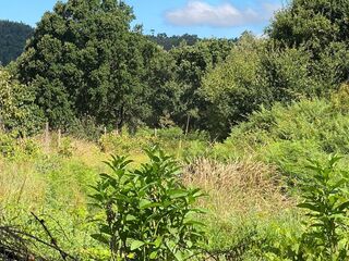 -2123111111019_0e701cec-6a96-4442-9ab1-4782e2d2458e.jpg