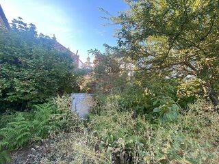 -2123111111022_1caa99b8-757f-48fe-94c2-5e776ca898a3.jpg