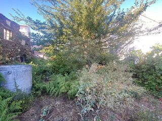 -2123111111022_9d3db0aa-ca39-4234-92b5-0d38bcde3478.jpg