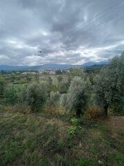 -2123111111026_163f2457-b3fe-46e6-b89e-4c072a32b1c6.jpg