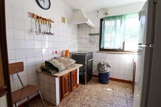 -2123111111027_1ad9bb6f-a22d-4c5b-9fc5-948cd5ed2f22.jpg