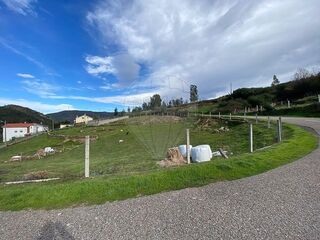 -2123111111031_4cd1c448-2f6b-4d2f-b146-43fc33ac130a.jpg