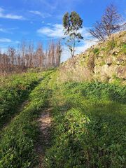 -2123171131126_07162d0f-b000-41ac-a7fc-df272f3036f4.jpg