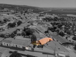 -2123211536009_b17deb5d-86ec-4085-92d4-081d4d9ec5fa.jpg