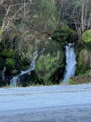 -2123251300195_148d98c4-a266-4664-b048-38f93a8f7db6.jpg