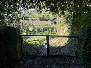 -2123251300195_beff28d5-755a-42df-95a5-d0b16797d829.jpg