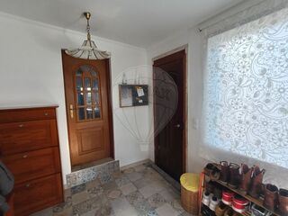 -2123301113101_b4c59933-c79c-401a-91df-a3840a4f3cf1.jpg