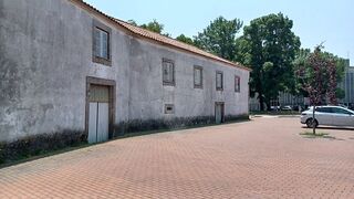 -2123331051290_03cf3ba8-7655-47d2-a2e2-db2a75c0f3a5.jpg