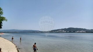 -2123331051290_863544b0-5cae-4388-97cd-fefb0848b35f.jpg