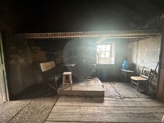 -2123331167307_3e78301c-59d9-403e-9ab6-dc152aff6a13.jpg