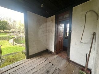 -2123331167307_80fb49a5-09d8-4113-adb2-c9c50eb9e6cc.jpg