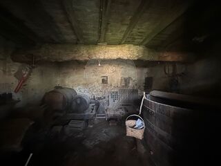 -2123331167307_b52c199d-f0d9-4e64-99e6-4f1d5fb807c4.jpg