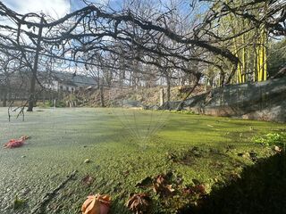 -2123331167307_b88b4031-1a4e-4435-9cc3-402ae49e7527.jpg