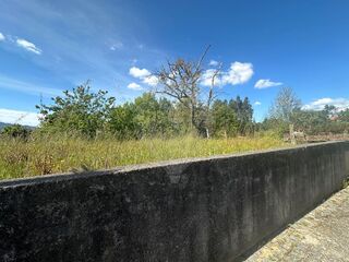 -2123331167394_f692cb61-ba81-4c91-969b-41c6385615af.jpg