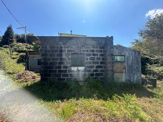 -2123331167411_f86baec9-66b1-4fa6-8fd9-d16967c5fd7b.jpg