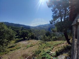 -2123331167426_0e6e1175-0b17-40f4-b091-018cdf4edfa7.jpg