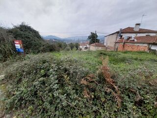 -2123331167471_a921dbcf-16ac-48e2-9eeb-f712e166b58f.jpg