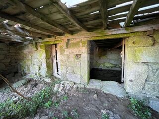 -2123331167510_b1949b04-37a2-4dd5-ab64-4288b0f3e4b1.jpg