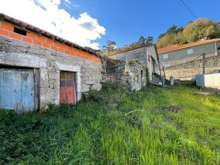 -2123331167510_da0b2c0b-36a4-471d-abad-271b0c941a33.jpg