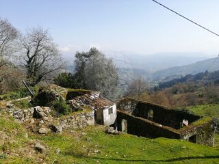 -2123331170015_0d91594d-6ed2-4841-ab55-04156f8265e8.jpg