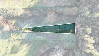-2123331192025_22957c9f-8528-4923-a7ec-f6ab7087faed.jpg