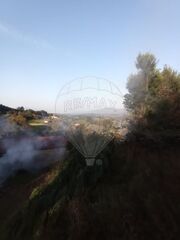 -2123331212056_d9148da6-30fe-4be4-84ce-3ccf3d6fdb4b.jpg
