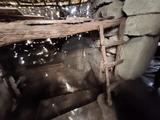 -2123331213003_27a7056f-259b-44b5-9545-5dd2e4b511d4.jpg