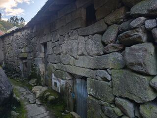 -2123331213003_586f5d7f-aec6-4d06-8c6d-ee49f4ef2de4.jpg